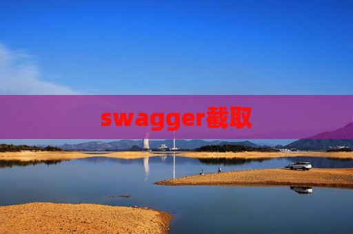 swagger截取