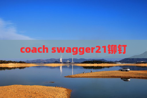 coach swagger21铆钉